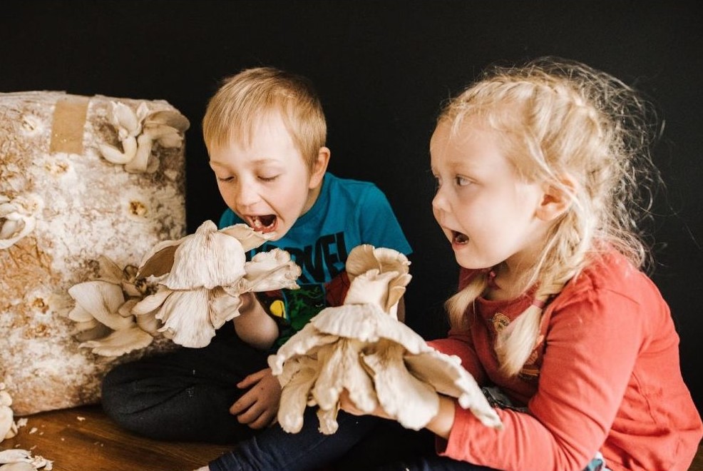 Jak domácí pěstování hub učí děti lásce k přírodě 1 Jak domácí pěstování hub učí děti lásce k přírodě